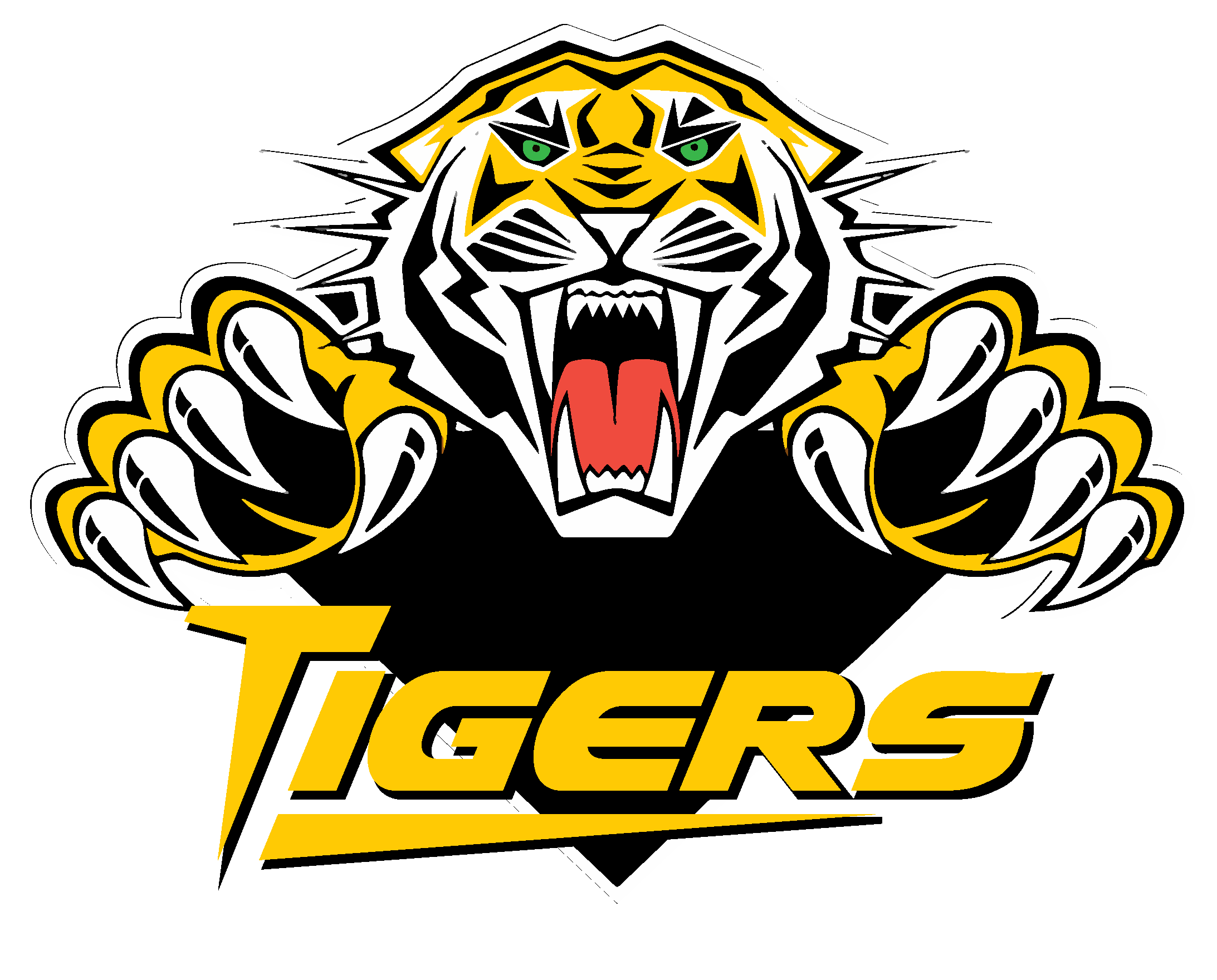 VERMILION TIGERS JUNIOR B